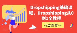 Dropshipping基础课程,Dropshipping从0到1全教程-第一资源网