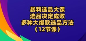 暴利选品大课:选品决定成败,教你多种大爆款选品方法(12节课)-第一资源网