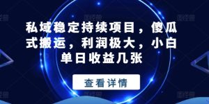 私域稳定持续项目,傻瓜式搬运,利润极大,小白单日收益几张【揭秘】-第一资源网