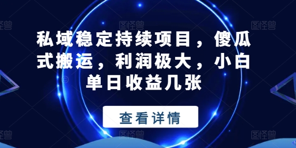 私域稳定持续项目，傻瓜式搬运，利润极大，小白单日收益几张【揭秘】-第一资源网