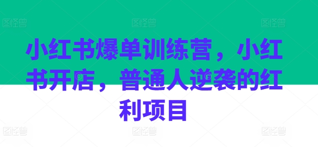 小红书爆单训练营，小红书开店，普通人逆袭的红利项目-第一资源网