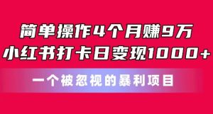 简单操作4个月赚9w,小红书打卡日变现1k,一个被忽视的暴力项目【揭秘】-第一资源网