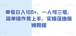 单号日入100+,一人可三号,简单操作易上手,实操落地保姆教程【揭秘】-第一资源网