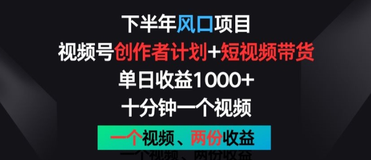 下半年风口项目，视频号创作者计划+视频带货，一个视频两份收益，十分钟一个视频【揭秘】-第一资源网