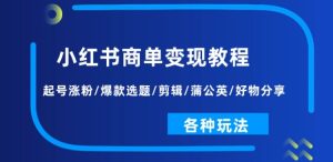 小红书商单变现教程:起号涨粉/爆款选题/剪辑/蒲公英/好物分享/各种玩法-第一资源网