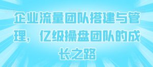 企业流量团队搭建与管理,亿级操盘团队的成长之路-第一资源网
