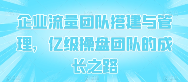 企业流量团队搭建与管理，亿级操盘团队的成长之路-第一资源网