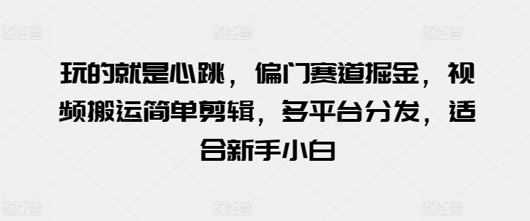 玩的就是心跳，偏门赛道掘金，视频搬运简单剪辑，多平台分发，适合新手小白【揭秘】-第一资源网