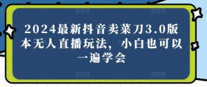 2024最新抖音卖菜刀3.0版本无人直播玩法,小白也可以一遍学会【揭秘】-第一资源网