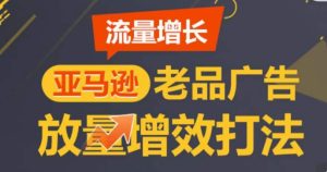 亚马逊流量增长-老品广告放量增效打法,循序渐进,打造更多TOP listing-第一资源网