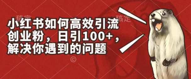 小红书如何高效引流创业粉，日引100+，解决你遇到的问题【揭秘】-第一资源网