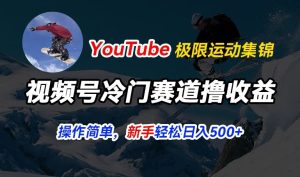 视频号冷门赛道撸收益,YouTube搬运极限运动集锦,暴力起号,操作简单流量高,轻松日入5张【揭秘】-第一资源网