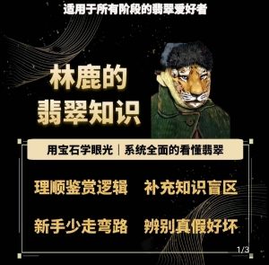 林鹿的翡翠知识,用宝石眼光,系统全面的看懂翡翠-第一资源网