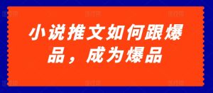 小说推文如何跟爆品,成为爆品【揭秘】-第一资源网