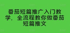 番茄短篇推广入门教学,全流程教你做番茄短篇推文-第一资源网