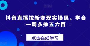 抖音直播拉新变现实操课,学会一周多挣五六百-第一资源网