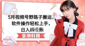 5月视频号野路子搬运,软件操作轻松上手,日入三位数【揭秘】-第一资源网