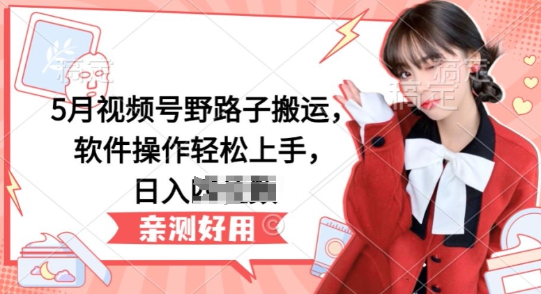 5月视频号野路子搬运，软件操作轻松上手，日入三位数【揭秘】-第一资源网