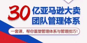 30亿亚马逊大卖团队管理体系,一套课,帮你重塑管理体系与管理技巧-第一资源网