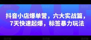 抖音小店爆单营,六大实战篇,7天快速起爆,标签暴力玩法-第一资源网