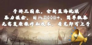 手游三国杀最新蓝海玩法,简单粗暴,无需复杂的操作和技术,看完即可上手【揭秘】-第一资源网