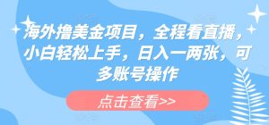 海外撸美金项目,全程看直播,小白轻松上手,日入一两张,可多账号操作【揭秘】-第一资源网