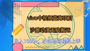 vivo中视频蓝海项目,沙雕动漫无脑搬运,小白也可轻松上手【揭秘】-第一资源网