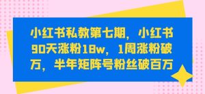小红书私教第七期,小红书90天涨粉18w,1周涨粉破万,半年矩阵号粉丝破百万-第一资源网