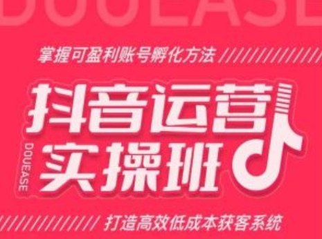 抖音运营实操班，掌握可盈利账号孵化方法，打造高效低成本获客系统-第一资源网