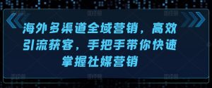 海外多渠道全域营销,高效引流获客,手把手带你快速掌握社媒营销-第一资源网