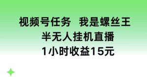 视频号任务,我是螺丝王, 半无人挂机1小时收益15元【揭秘】-第一资源网
