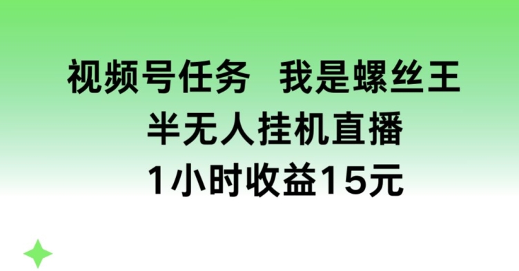 视频号任务，我是螺丝王， 半无人挂机1小时收益15元【揭秘】-第一资源网