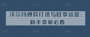 沃尔玛爆款打造与旺季运营,新手卖家必看-第一资源网