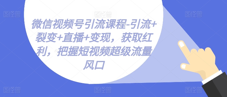 微信视频号引流课程-引流+裂变+直播+变现，获取红利，把握短视频超级流量风口-第一资源网