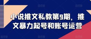 小说推文私教第9期,推文暴力起号和账号运营-第一资源网