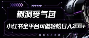 小红书等全平台树洞受气包项目,轻松日入一两张【揭秘】-第一资源网