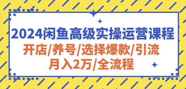 2024闲鱼高级实操运营课程：开店/养号/选择爆款/引流/月入2万/全流程-第一资源网