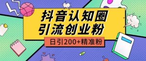 外面收费3980抖音认知圈引流创业粉玩法日引200+精准粉【揭秘】-第一资源网