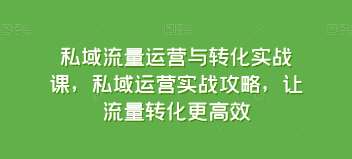 私域流量运营与转化实战课，私域运营实战攻略，让流量转化更高效-第一资源网