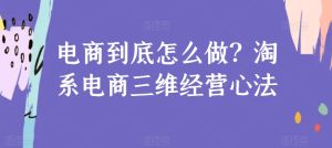 电商到底怎么做?淘系电商三维经营心法-第一资源网