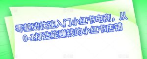 零基础快速入门小红书电商,从0-1打造能赚钱的小红书店铺-第一资源网