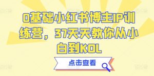 0基础小红书博主IP训练营,37天天教你从小白到KOL-第一资源网