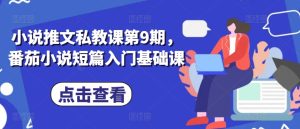 小说推文私教课第9期,番茄小说短篇入门基础课-第一资源网