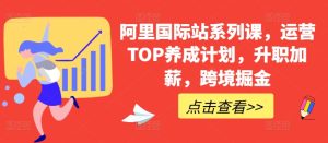 阿里国际站系列课,运营TOP养成计划,升职加薪,跨境掘金-第一资源网