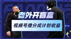 老外开盲盒视频,撸视频号分成计划收益,每天只需一小时,新手小白轻松上手【揭秘】-第一资源网