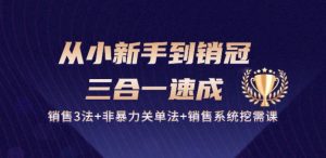 从小新手到销冠 三合一速成:销售3法+非暴力关单法+销售系统挖需课 (27节)-第一资源网