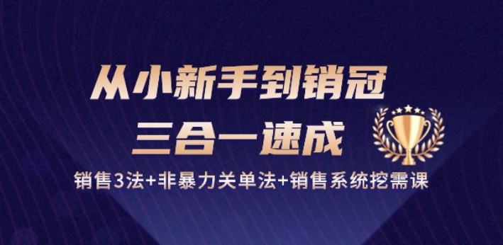 从小新手到销冠 三合一速成：销售3法+非暴力关单法+销售系统挖需课 (27节)-第一资源网