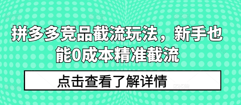 拼多多竞品截流玩法，新手也能0成本精准截流-第一资源网