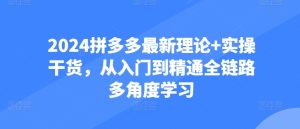 2024拼多多最新理论+实操干货,从入门到精通全链路多角度学习-第一资源网