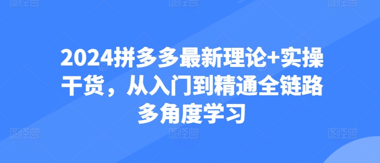 2024拼多多最新理论+实操干货，从入门到精通全链路多角度学习-第一资源网